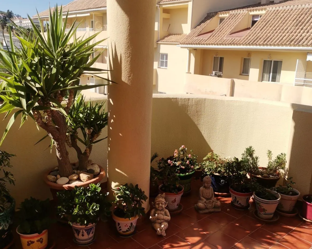 097e009f-1e90-44c2-8cc6-09a338190549