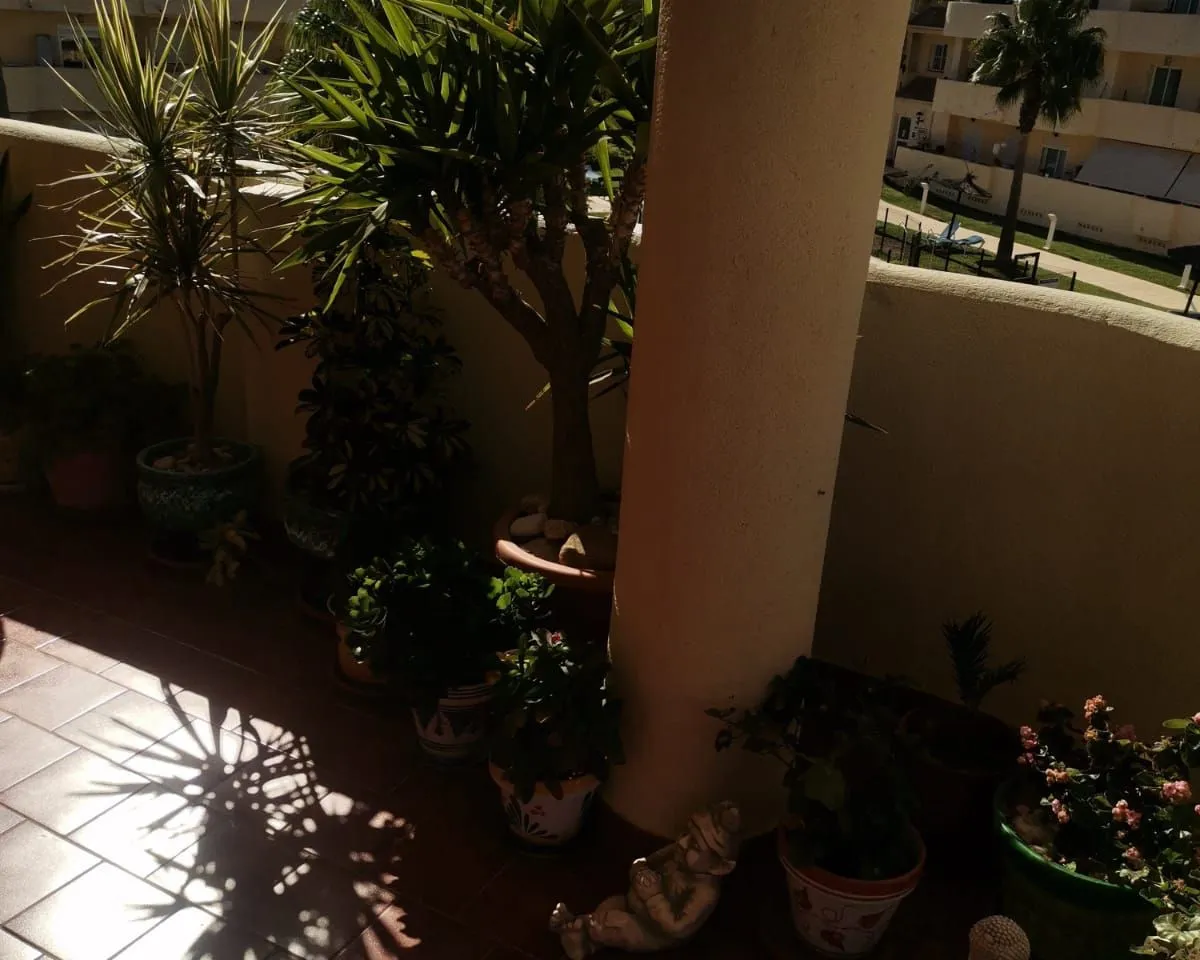 f63157b7-4526-492f-b8ce-cb3d47b73ee4