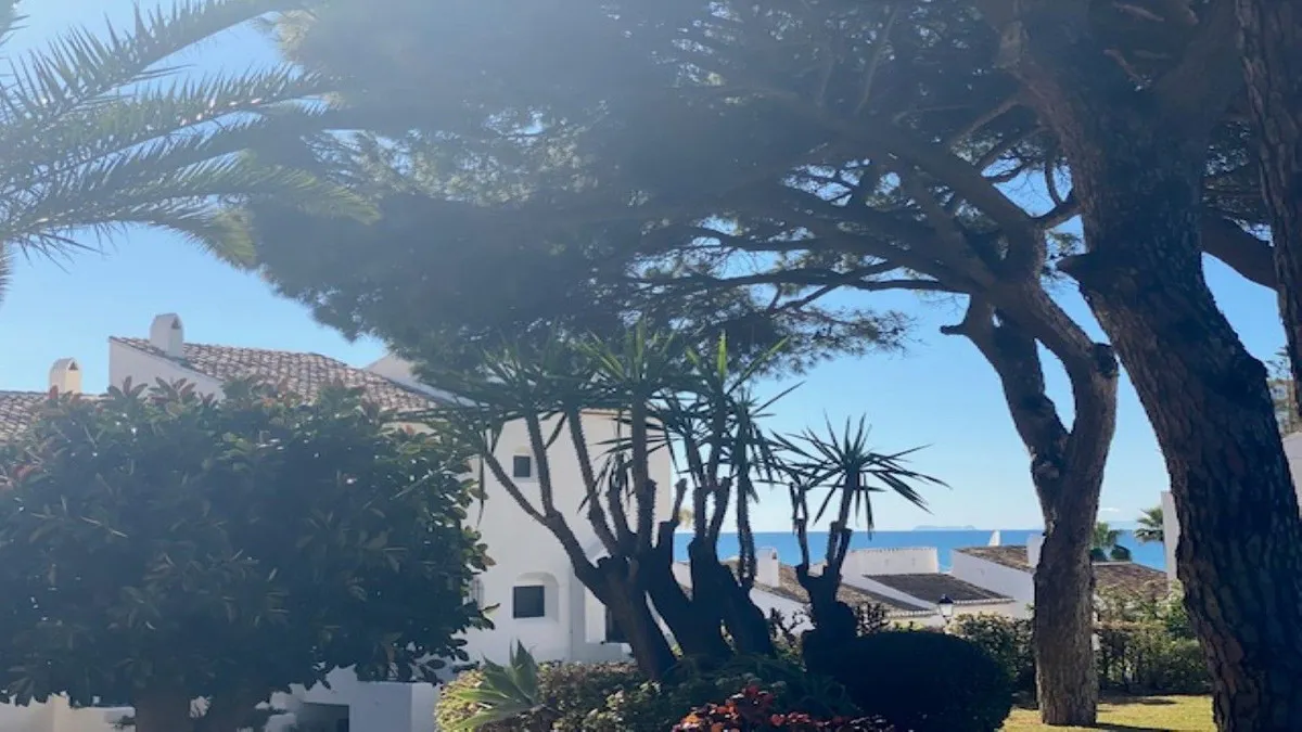 e79ddc72-dfff-4ce0-ba52-f99872b464d2