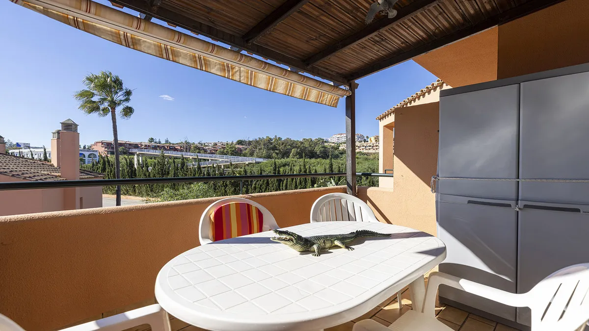 ab26cba9-2497-482b-9a37-31711e933165