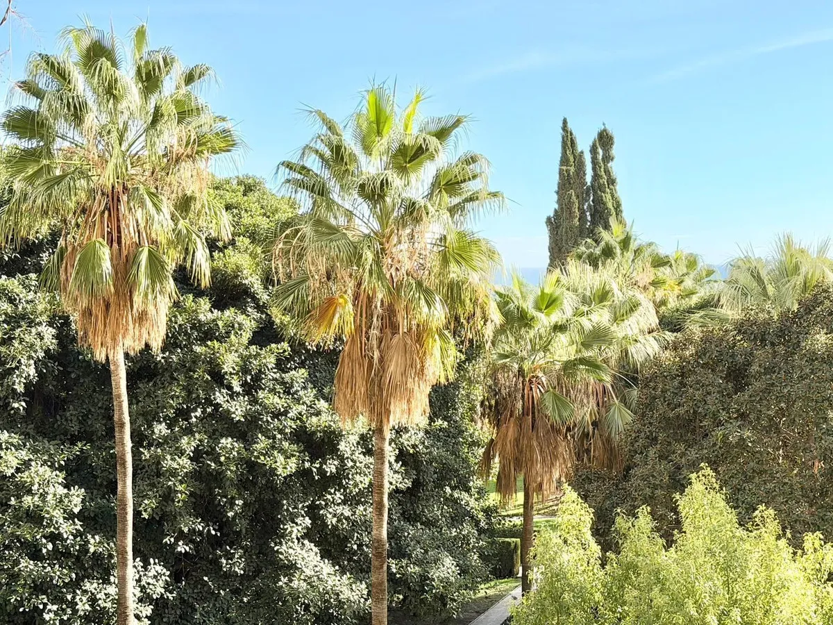 54c34673-901d-482c-b369-e57684bd3e33