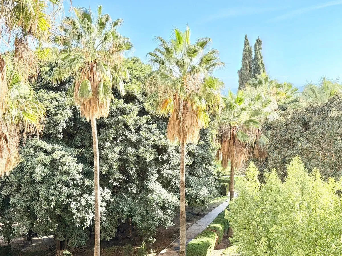 58e8f4d1-cf83-459b-b763-7de4d592b517