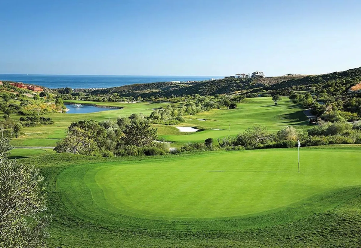 87e8726a-d01c-4b98-9cb9-2f5e5e9f0c58