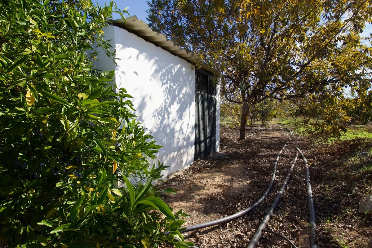 342e20d3-ed9b-487b-9406-f6e9f3de0c3e