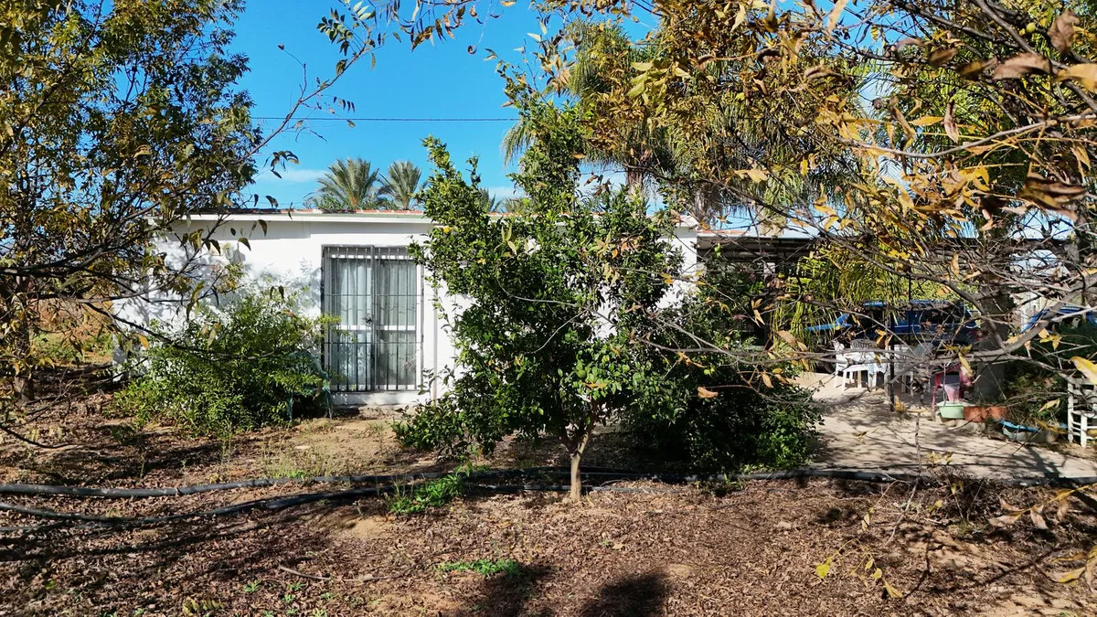 481e15a5-8f79-4da8-99ba-fe534c0a5049