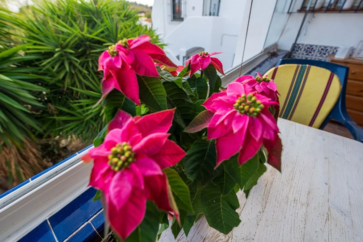 562542f2-94ef-413c-b23e-9dec14e192e4