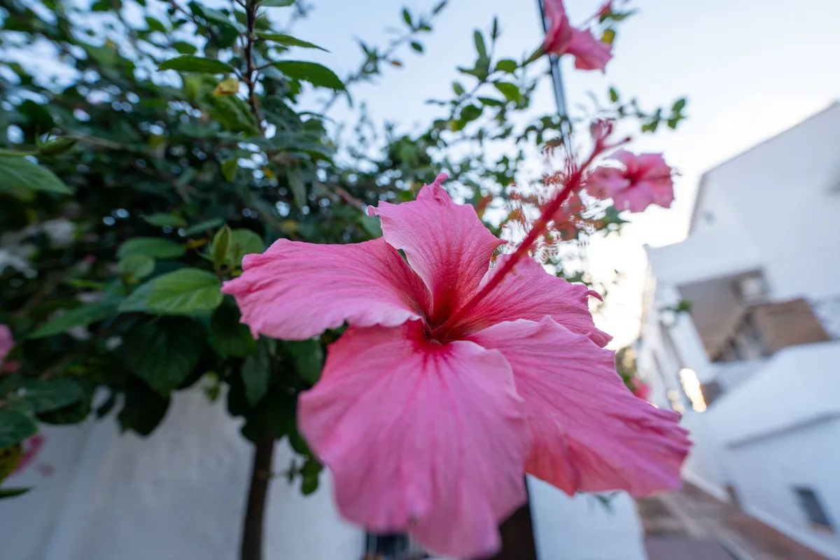 69939c50-d63f-4e99-9a26-68967fdb6fae