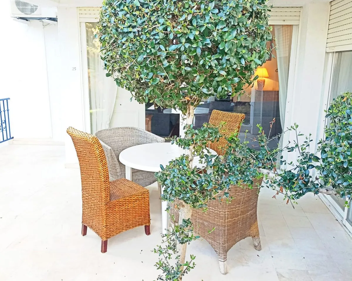 05eae44f-82a1-4944-8d1b-d5293d9f0a8f