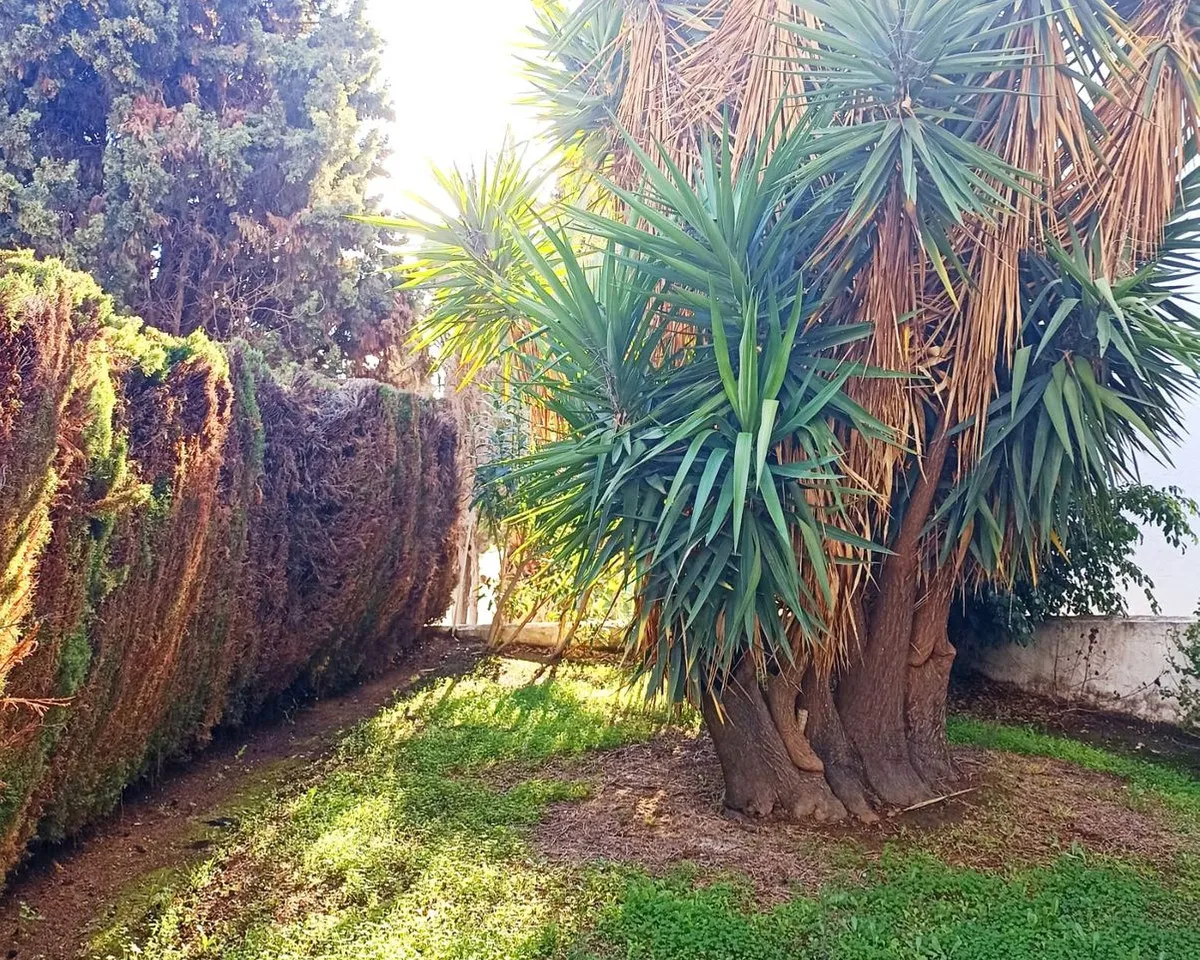 e4759391-eadc-444e-a65a-21b5e22067bc