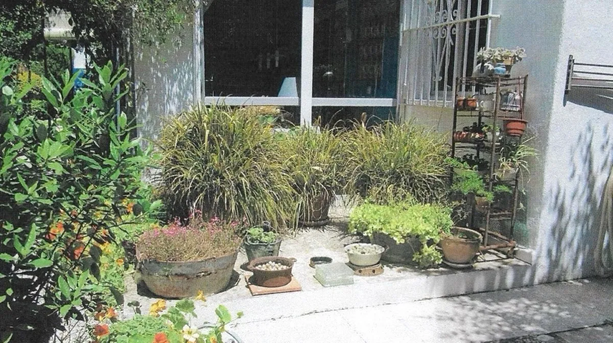 bc6e6cd5-9137-405a-a919-557555598a30