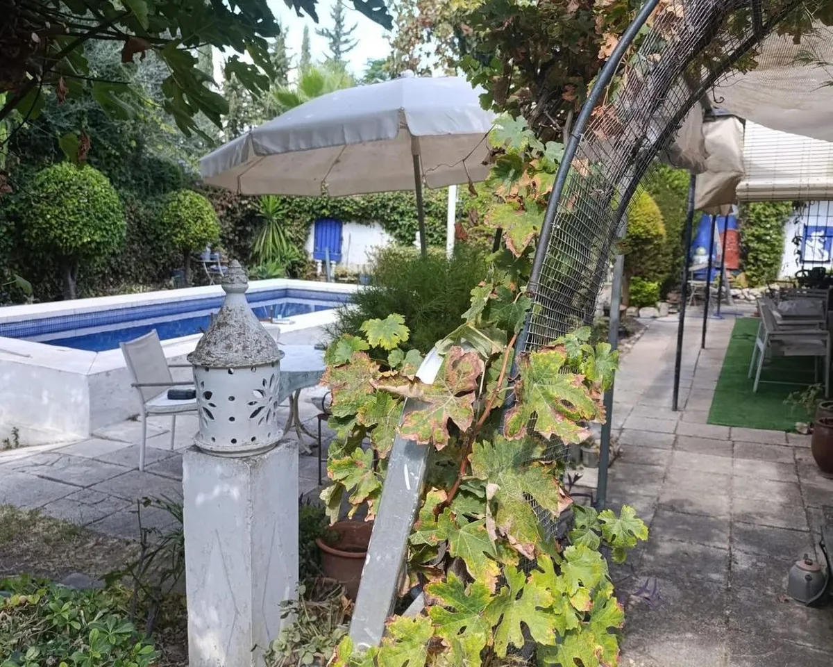 eea34044-44b0-4440-a1bf-73aeaec68b1a