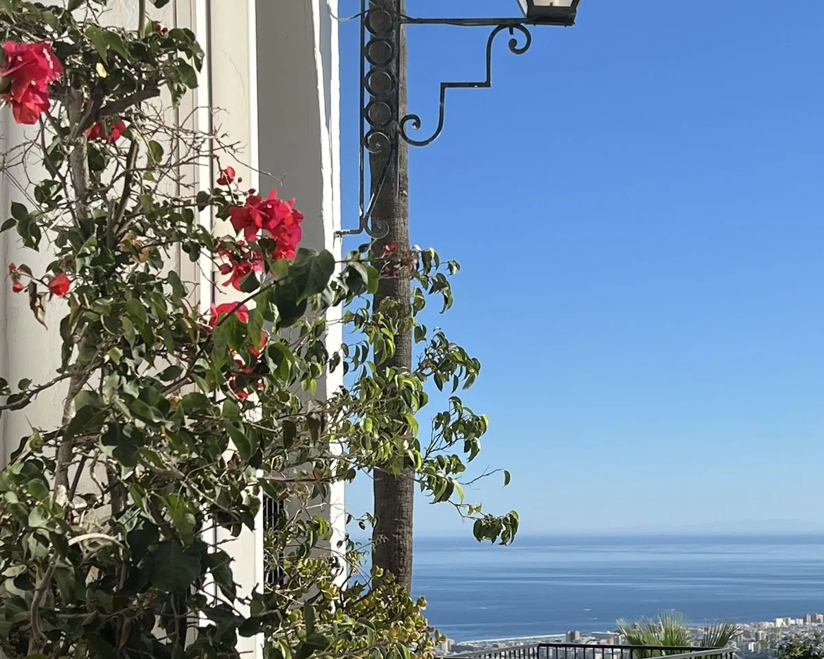 2604349a-9f8b-44f1-8b1a-1d4472bd1058