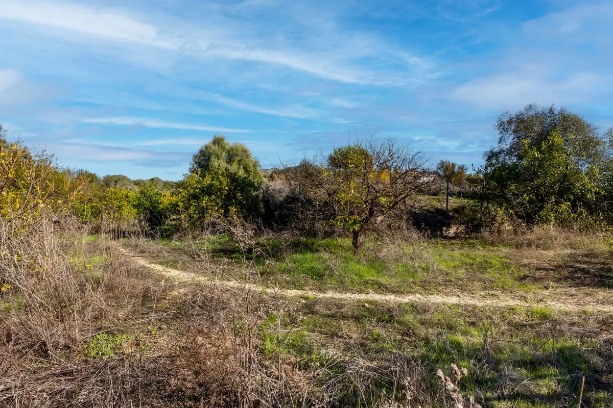 9ee985f2-a2b4-4b84-bccf-139bea6848de