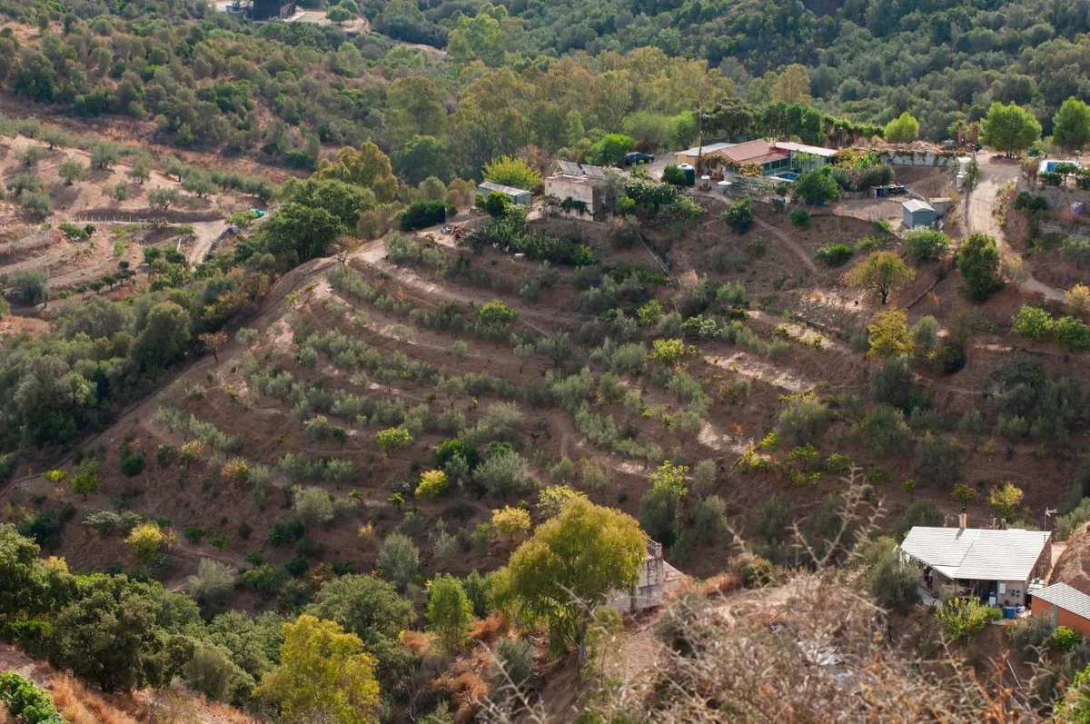 5e17d1ae-2bdd-4aa3-865f-f47aa611b88a