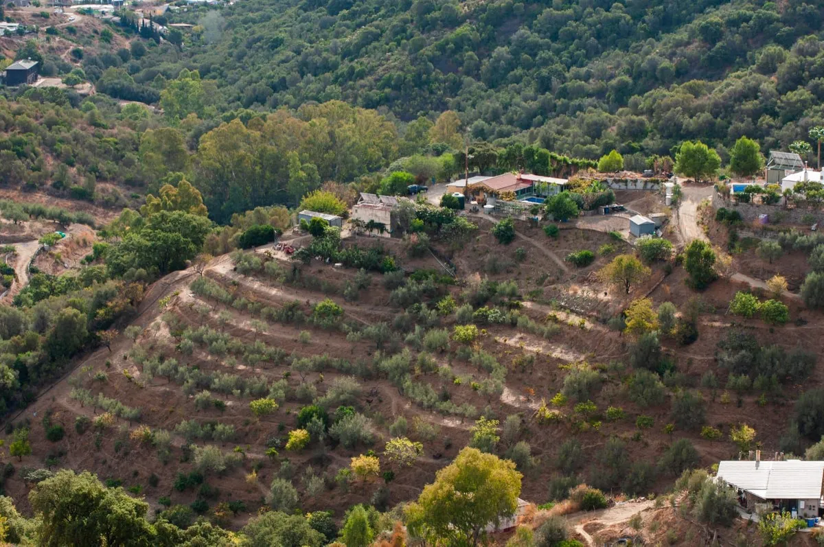 693ccf7c-886e-41c9-9b69-2b252c81c97c