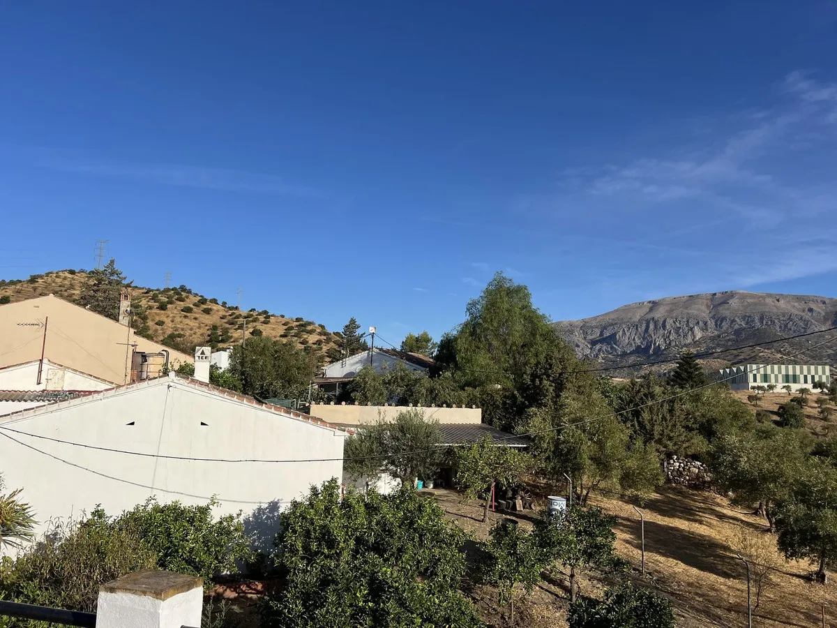 1ac4799b-bdf7-404c-9542-63a464cbbe6f