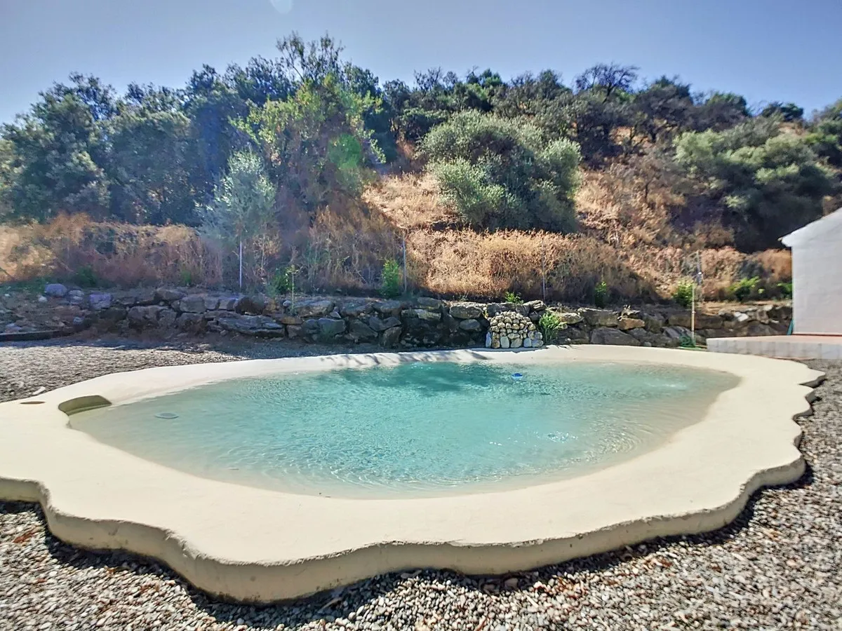 5555cace-418d-470a-8838-c5001a32690d