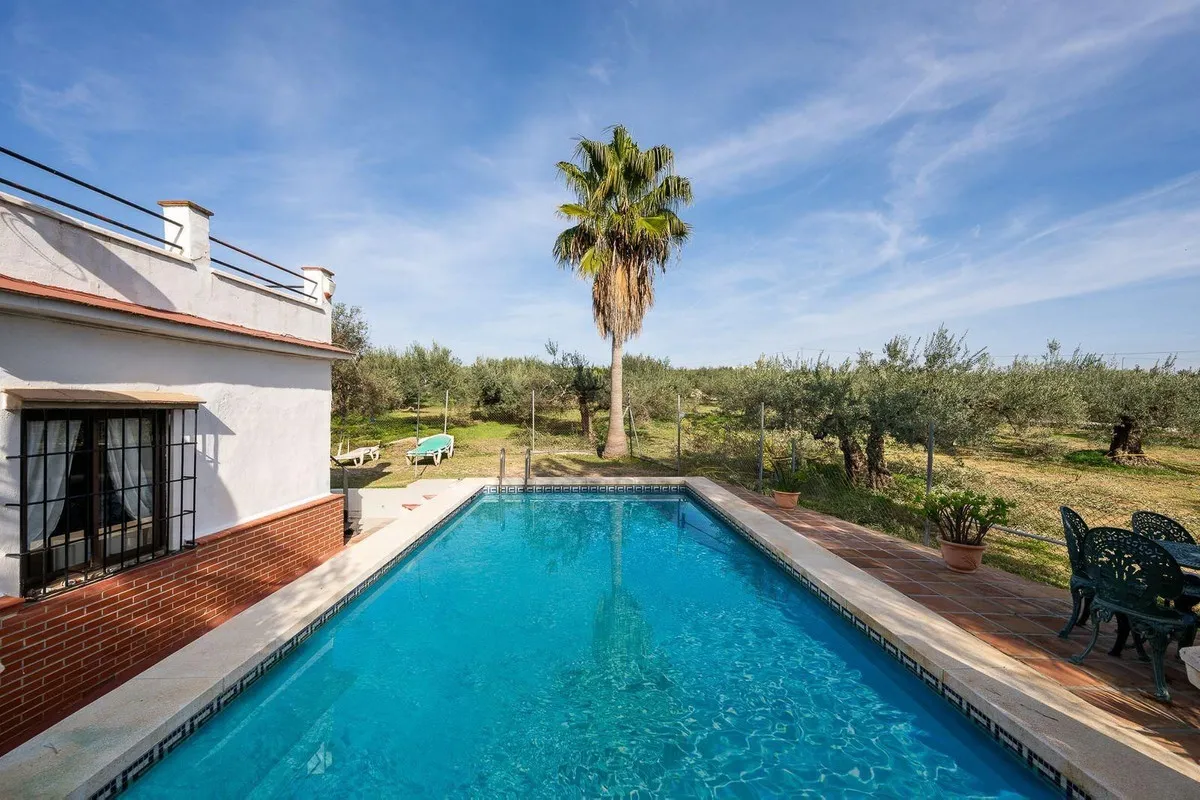 fe65e630-667e-4bf2-a113-1a2f48fbea73