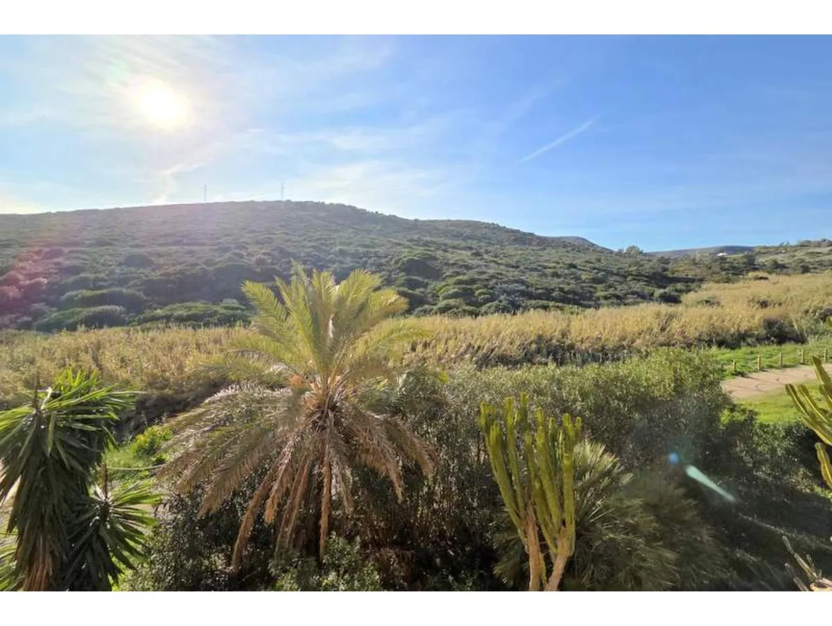 b55bf0a5-19cc-4e50-8760-719b286afaf4