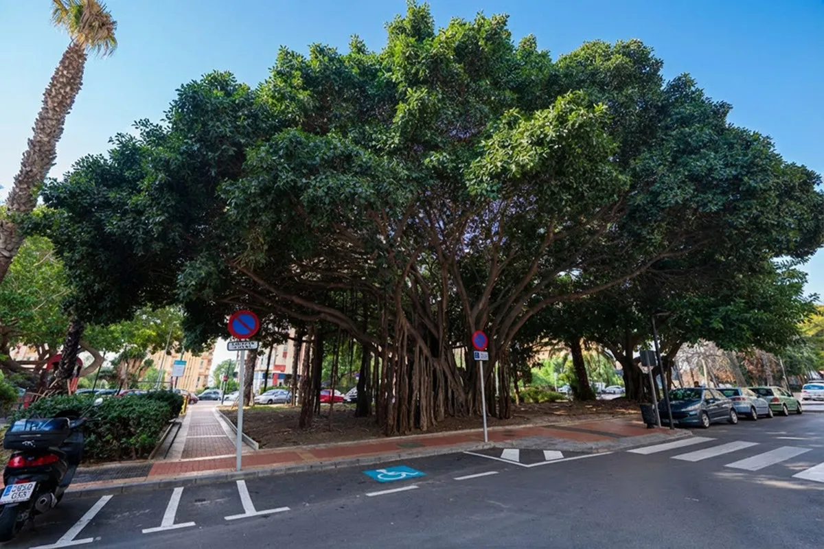 238870e8-0499-4f36-b8bb-3f610e5c5a03