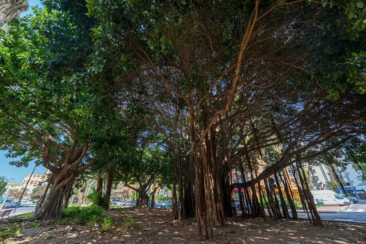 8188ef00-d40b-4887-95d5-7a87f6f5aae8