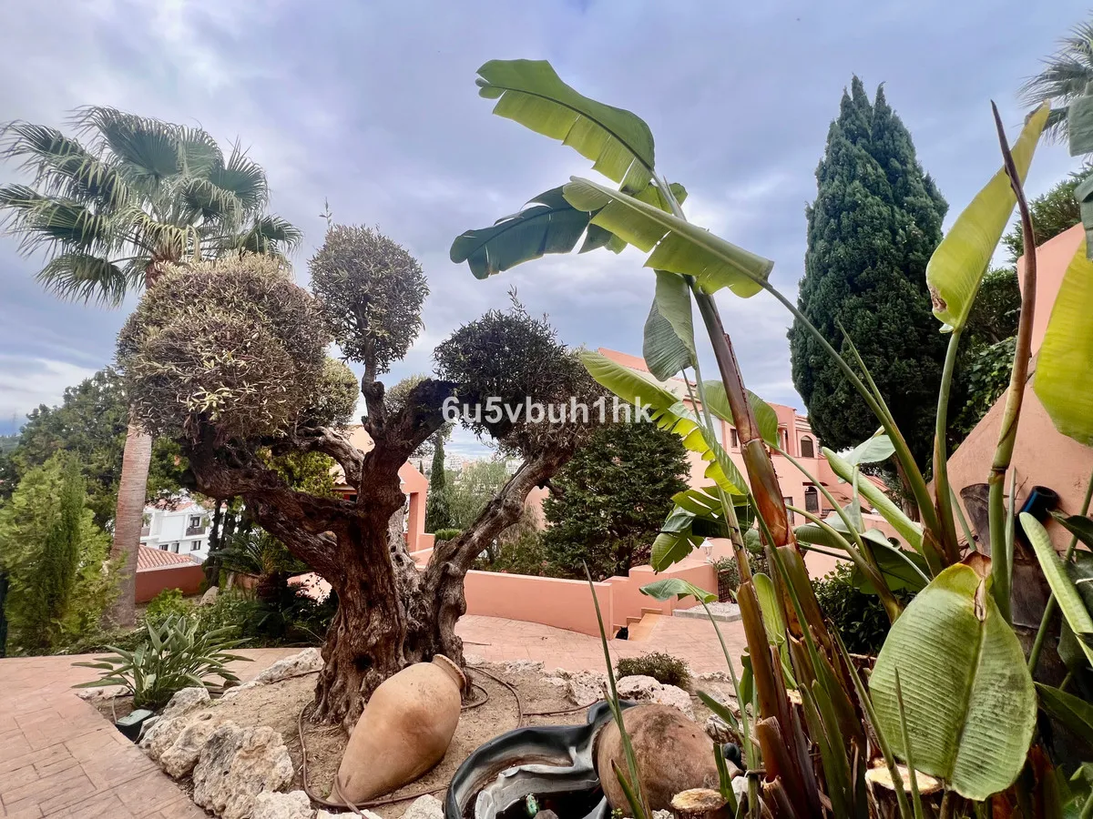 cb9afb98-48b4-4ab2-b1f0-bcc8cd7c5b42