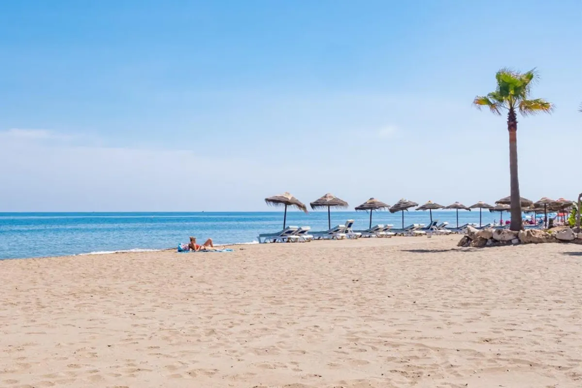 18136917-1cfe-4d97-9e45-7e5ef21f23d3