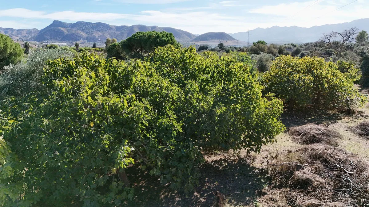 2ce2bada-5faf-42a6-9fe1-c9615f4f47e5