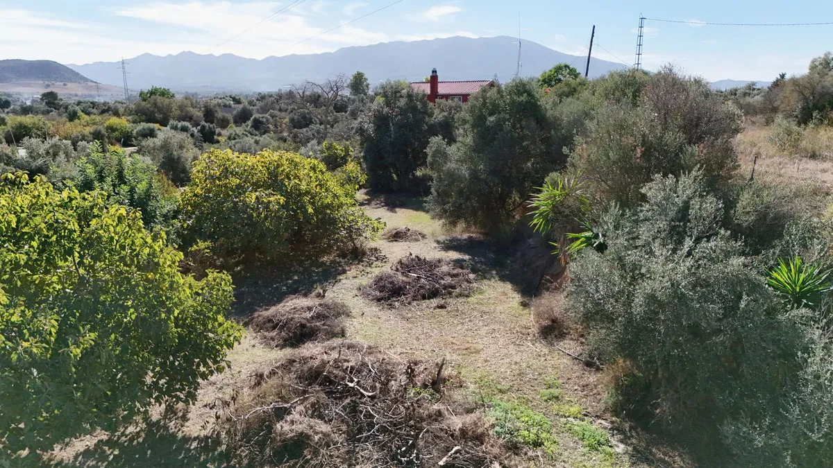 b1f693c3-b5cf-4ce0-affd-e4ec2dac8894