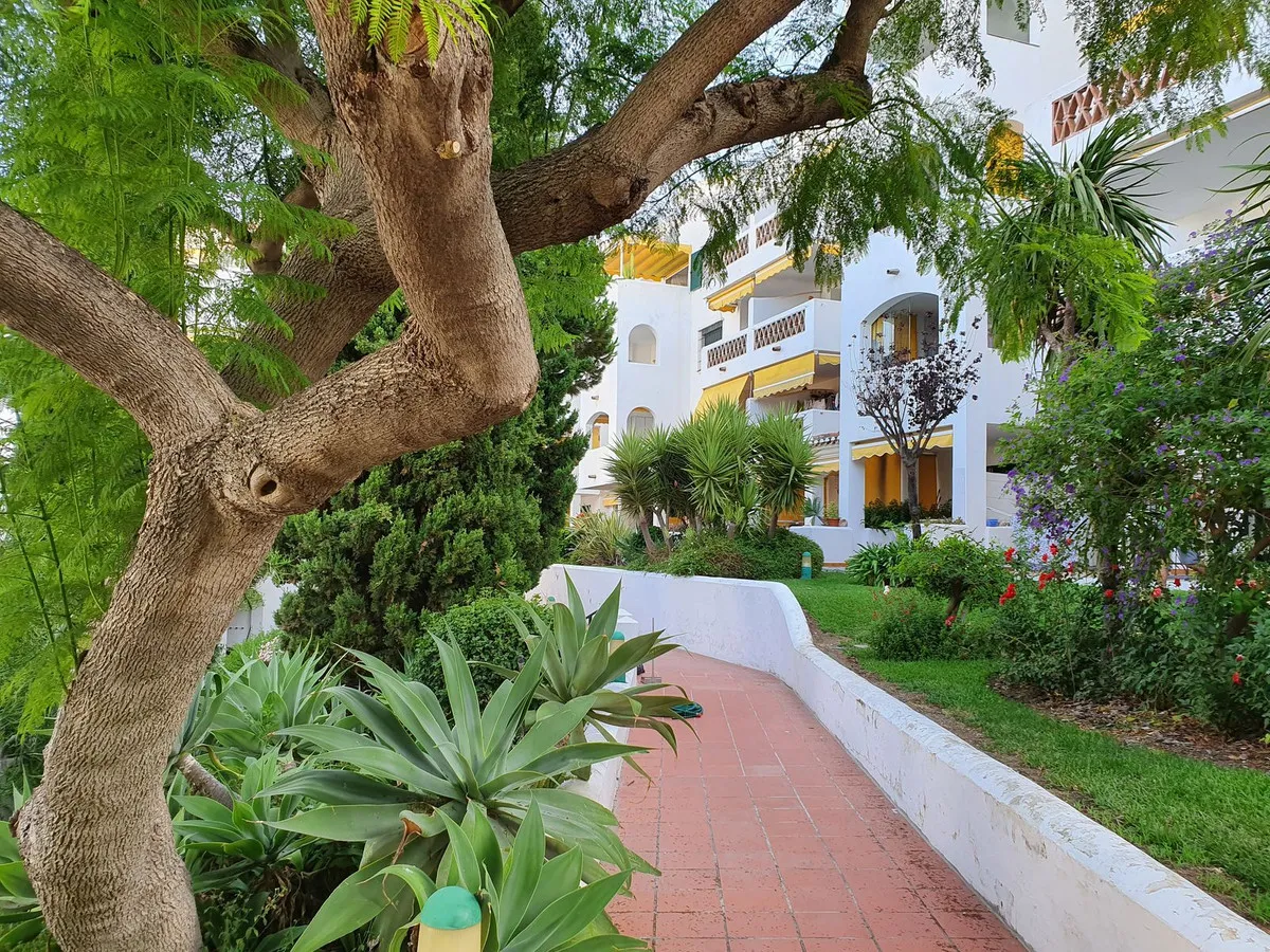 206c4bf5-8bfe-4cc2-90ff-d49c5cee92af