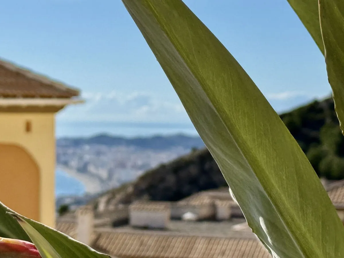 604fb61c-050f-41c9-878a-1f7205a9eccb