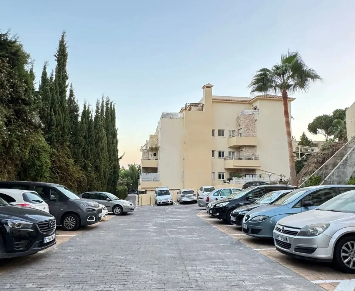 09ce6125-e370-46b8-9e6c-f8f1d3bdb4e0