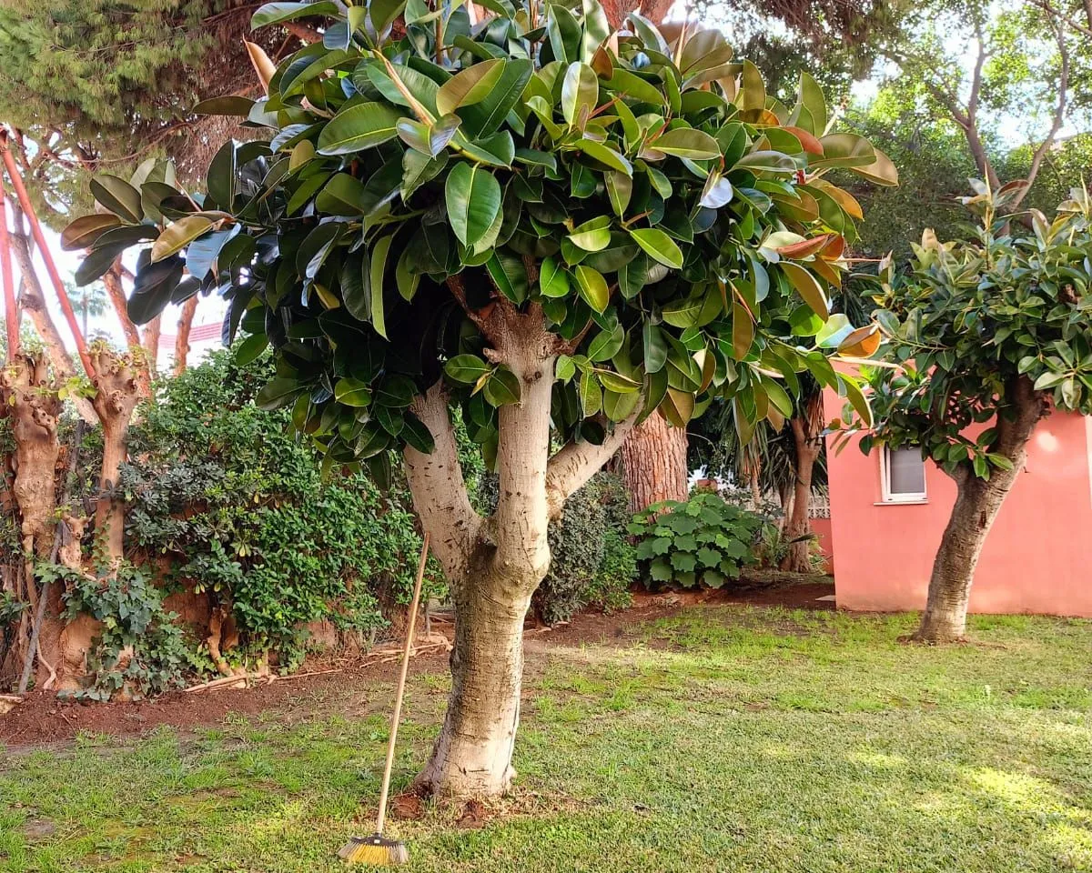 2c28a50b-d216-4d10-8277-f6b94dd852c3