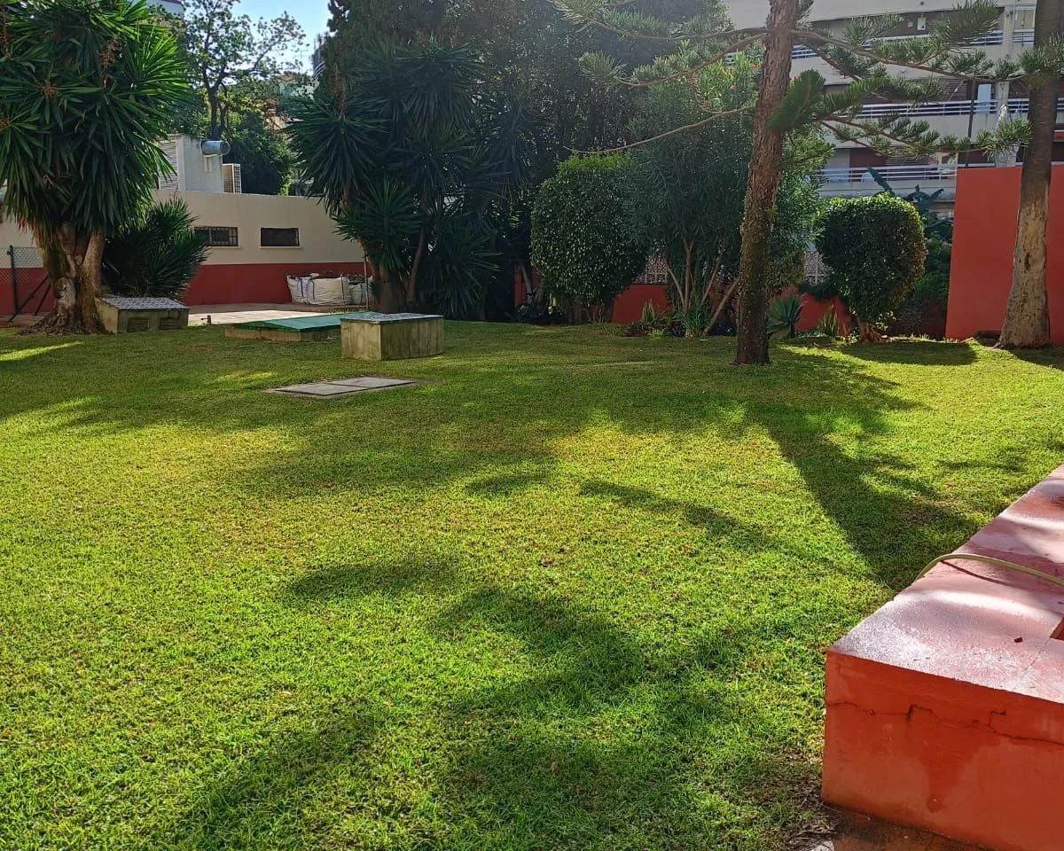 aa2593bc-333a-4860-8e8f-219b43ae073b