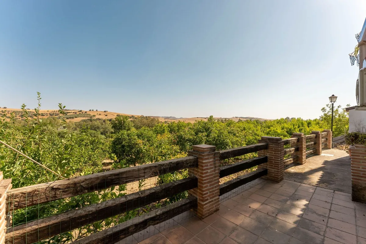 30a7476e-ca1a-4ffd-954f-55a5ca593c07