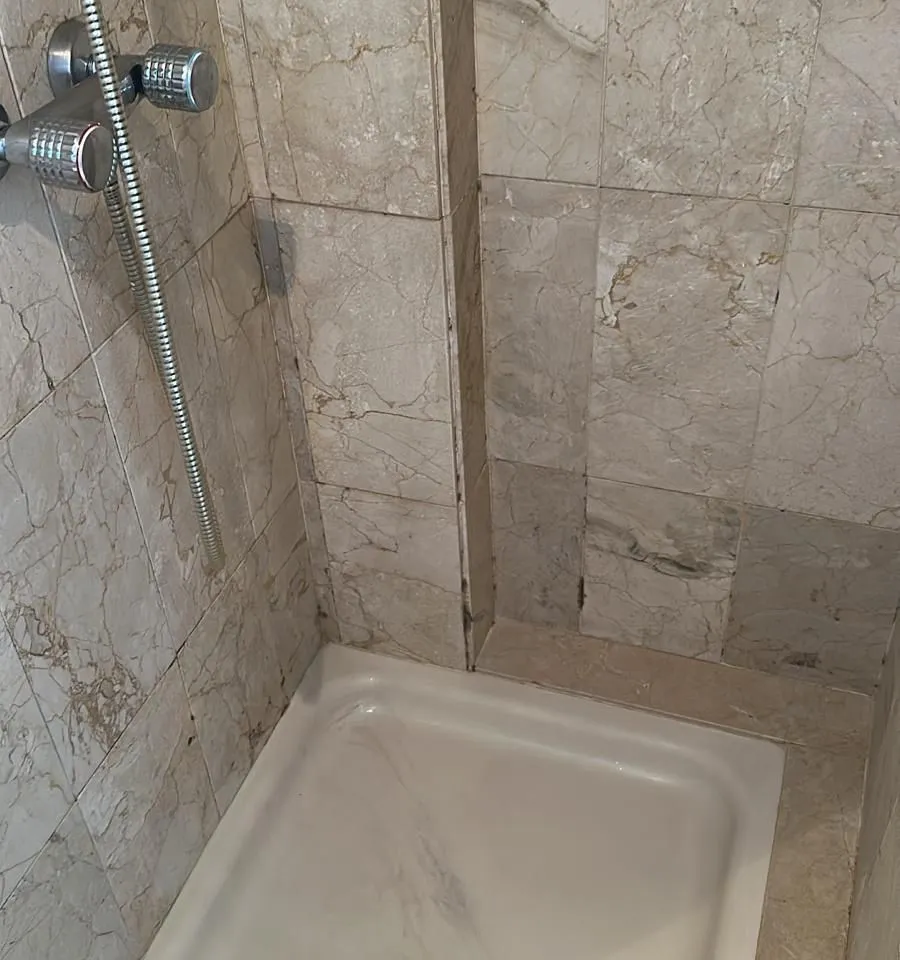 07106cf5-cb7c-4370-8d60-f3a8bd1ff9e0