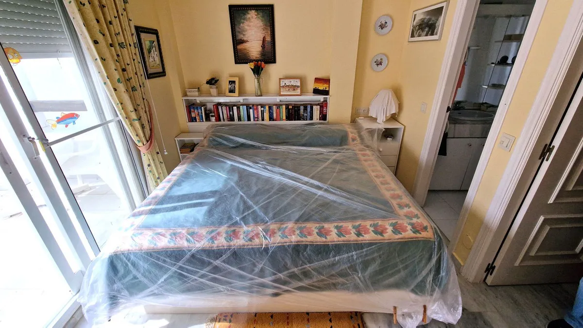 295b923a-071e-4656-9939-80f75e37550a