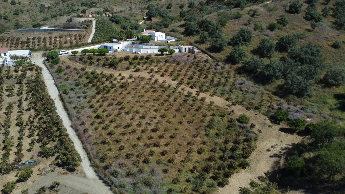 79056d4c-9c9a-42f5-b6e4-0f38a2ccf763