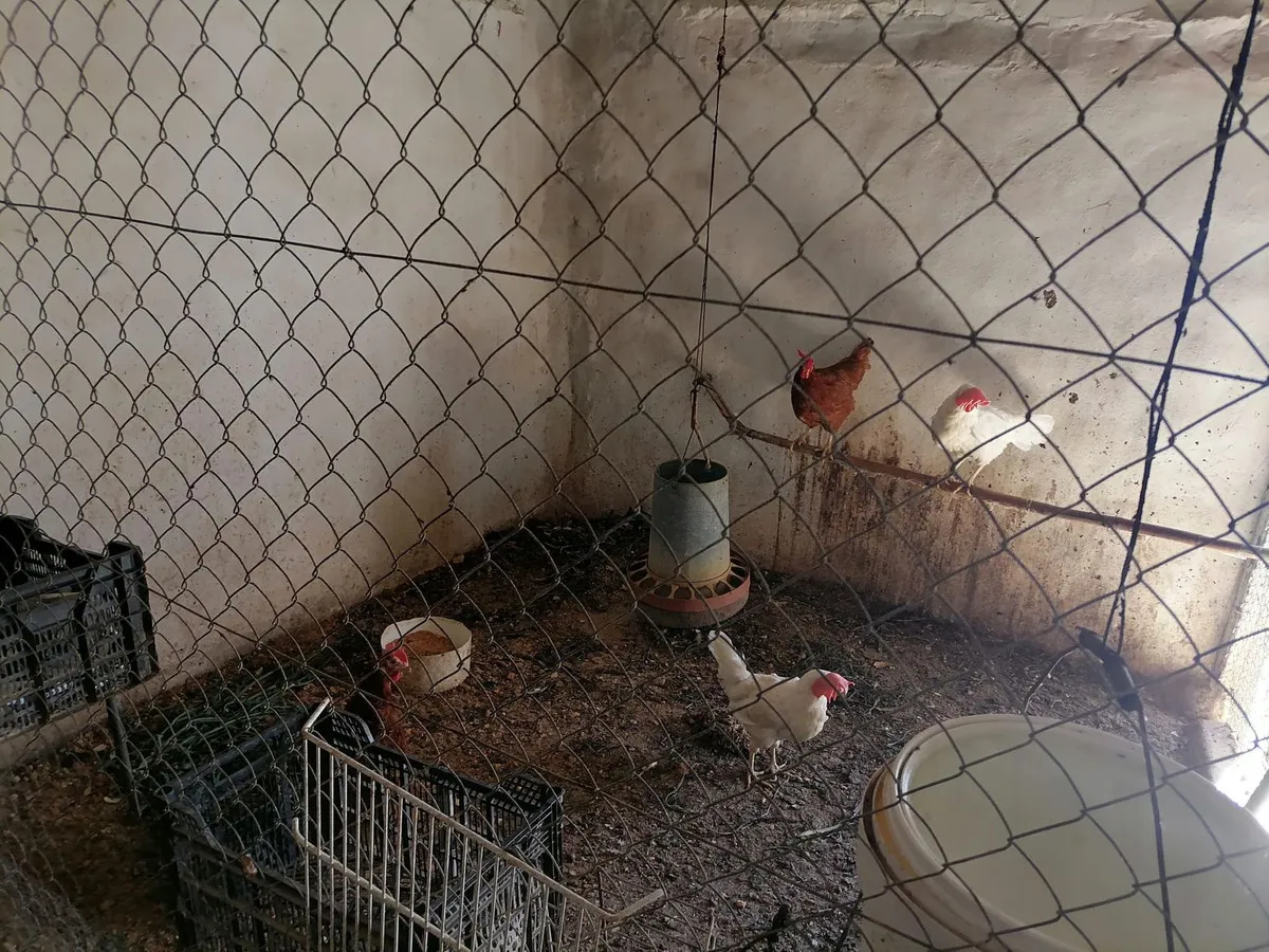 844b6607-29ea-426a-8808-aa09b21711b5