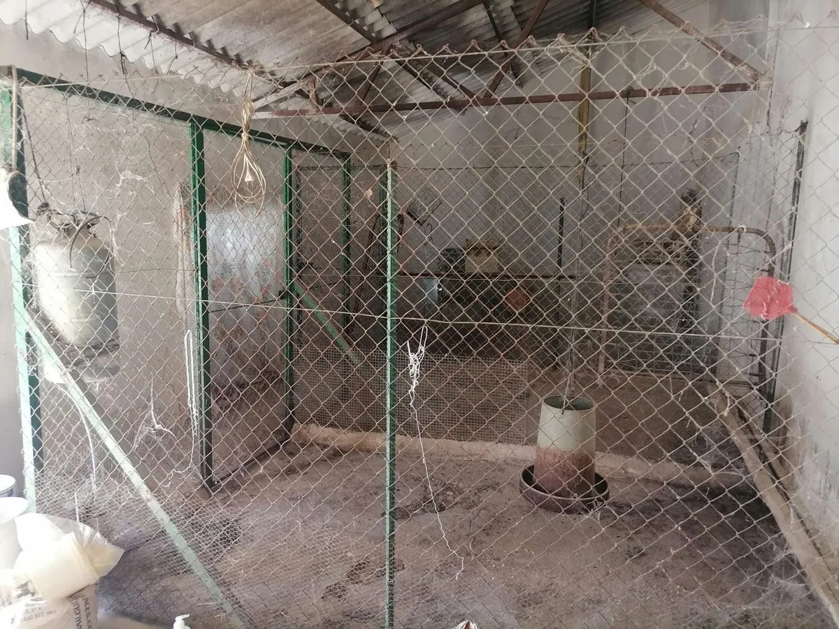 cfee16ad-0040-4e2e-8d22-facb92447044