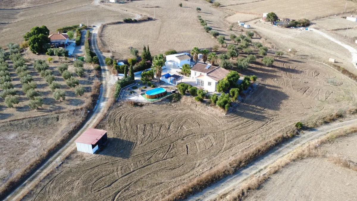 c2439c8f-cede-4a29-b56d-f9bd8eb1efcd