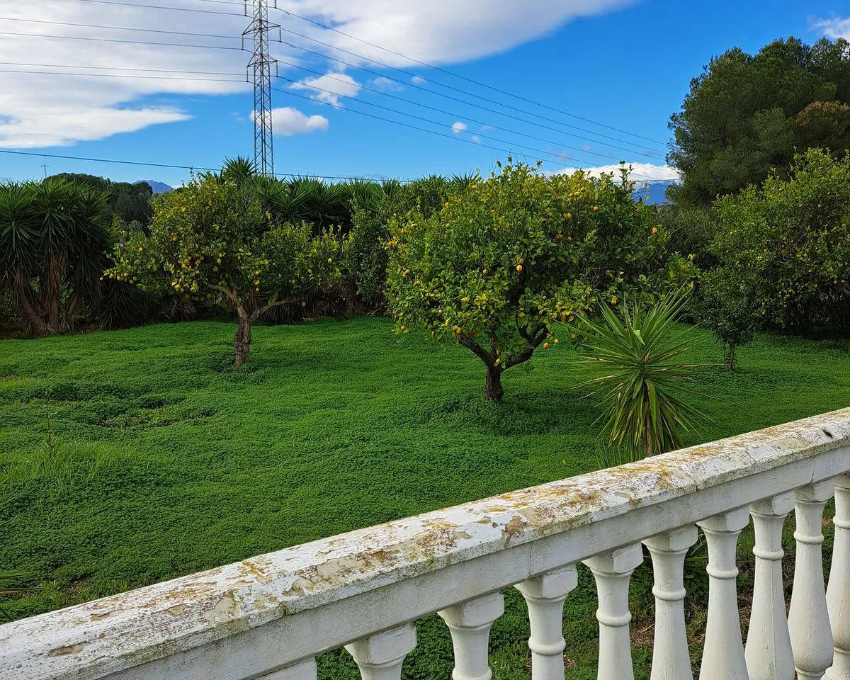 1665142c-a303-471e-b442-c27a54ad3698