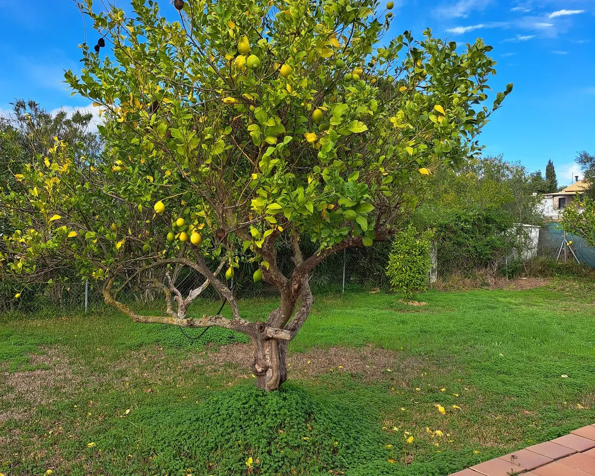 2613e175-17a0-4784-8eba-707ddc78e7b0