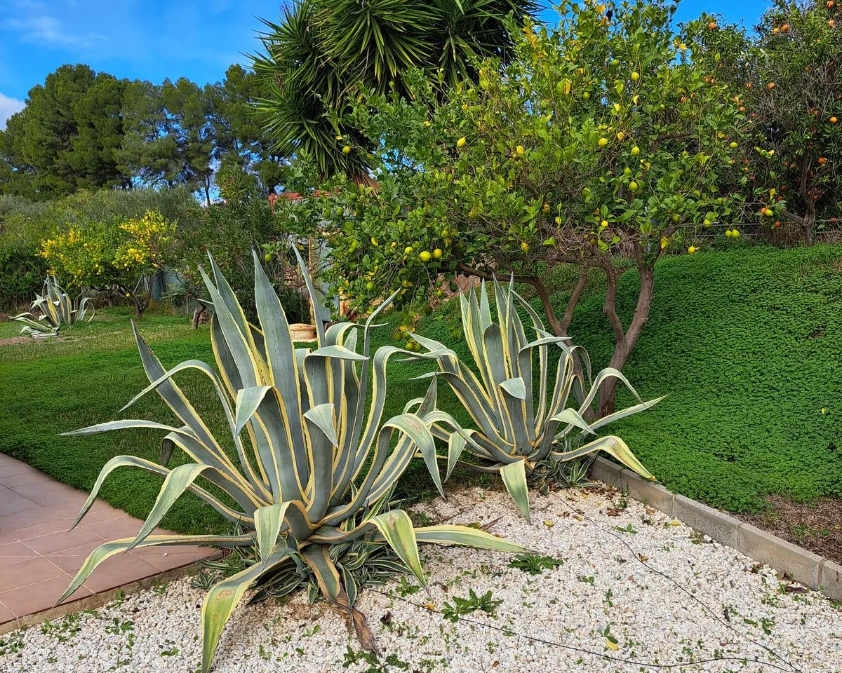 45b35e19-c297-4280-a06c-744117923f54