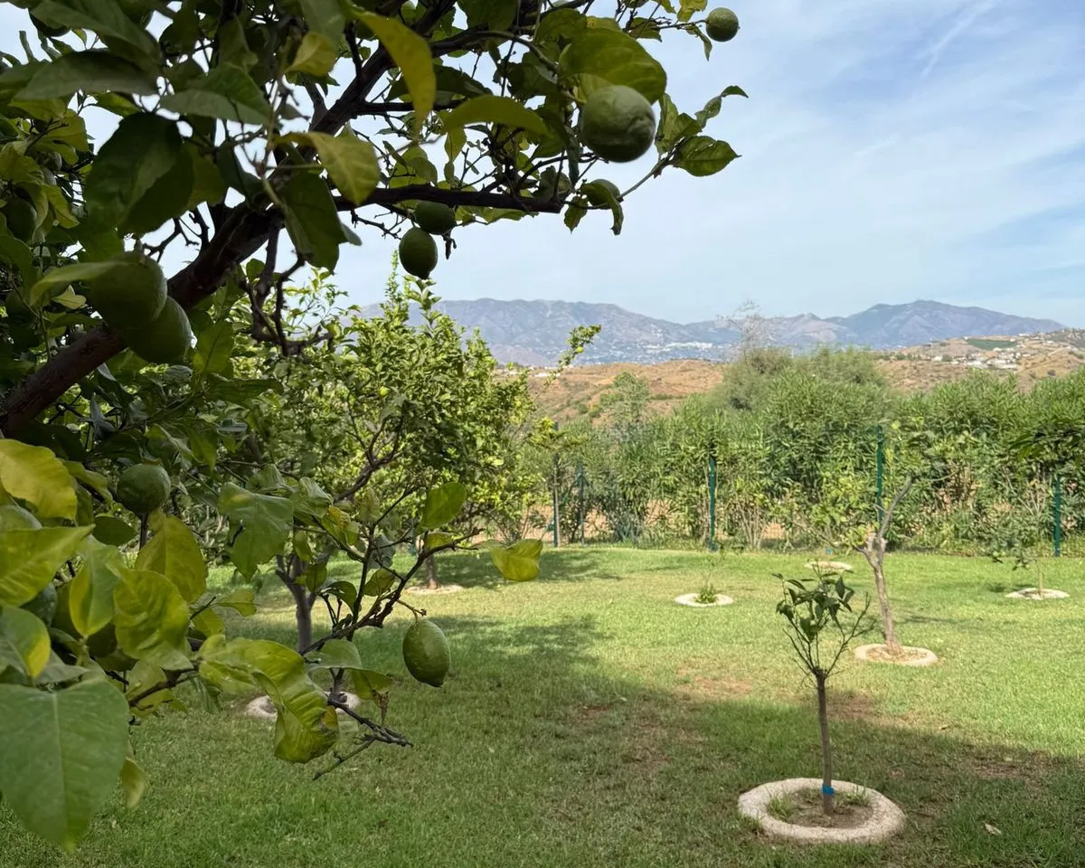 1a6df34f-2a88-4e0f-b016-108aeb6f2811