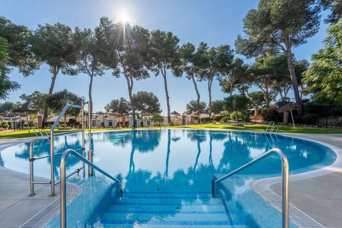 b13abc98-2aa5-4b2f-ac00-34594ce7a476