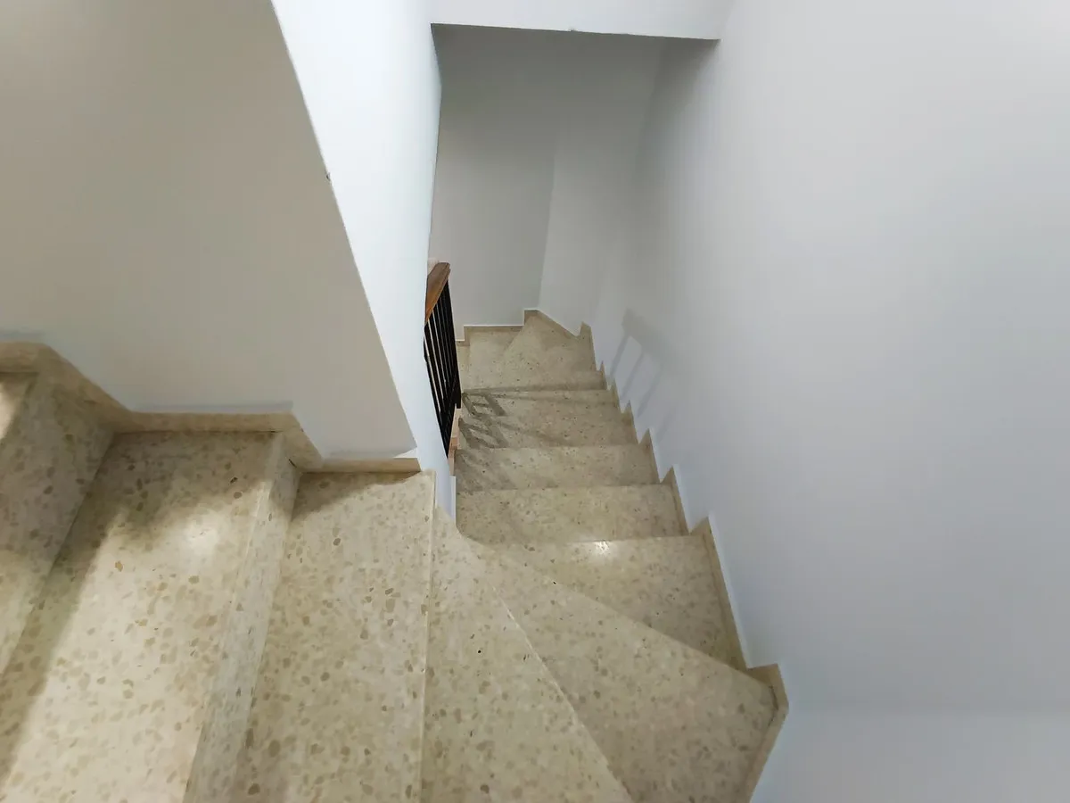 d809f53a-e033-4a21-b465-564f88899f38