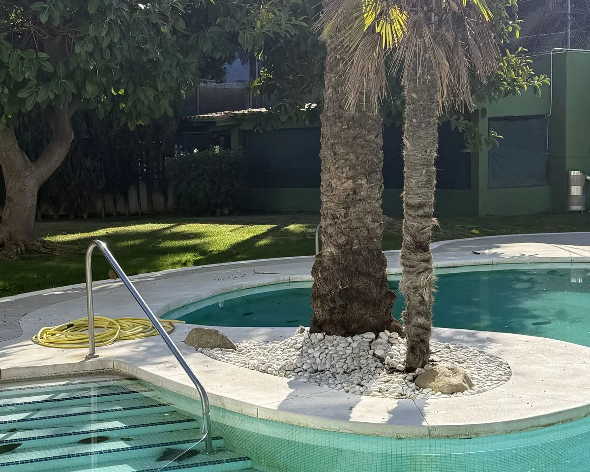 b2870d3d-374e-425f-964d-08b6a325c092