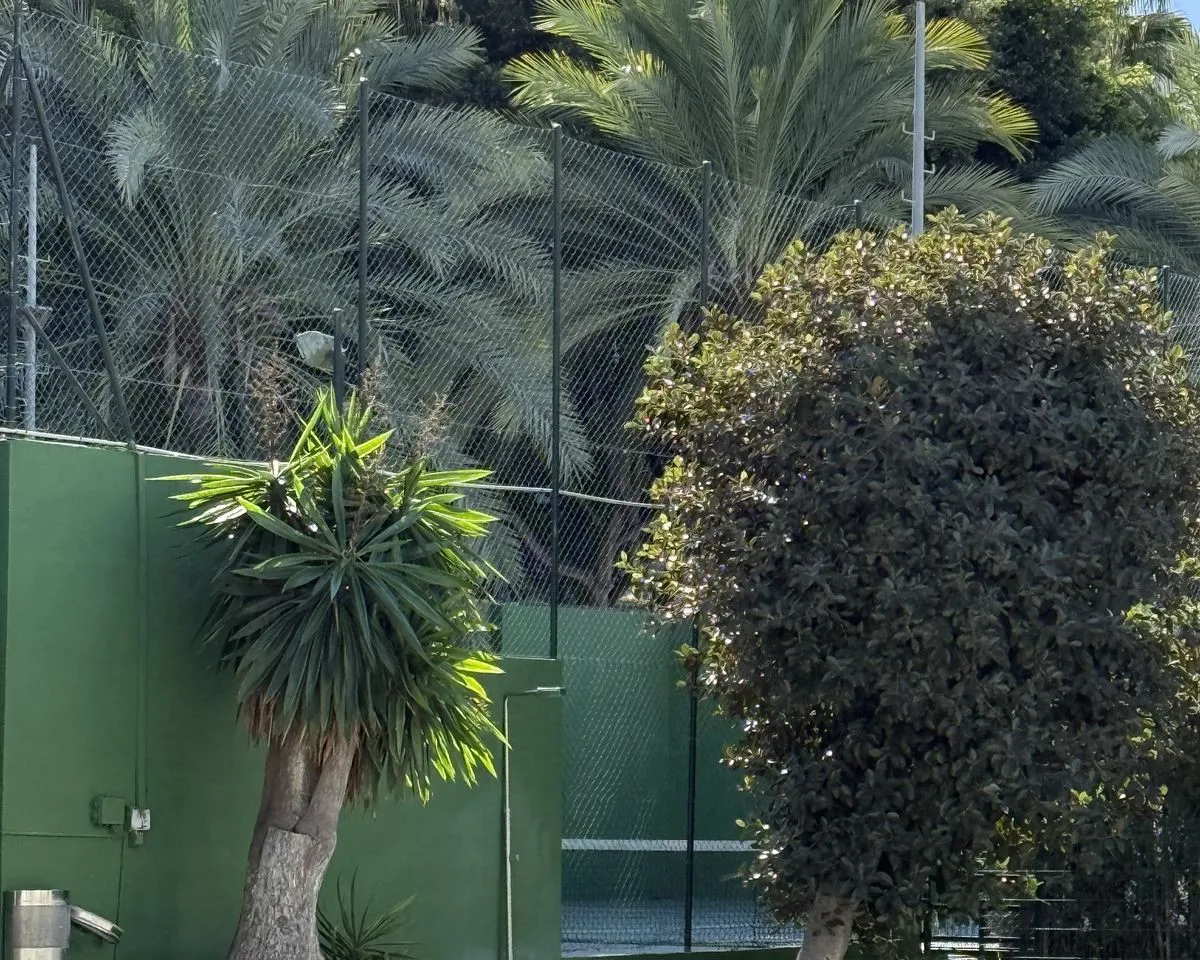 e9350623-3d3b-43ce-8528-6d05fe3f6ae7