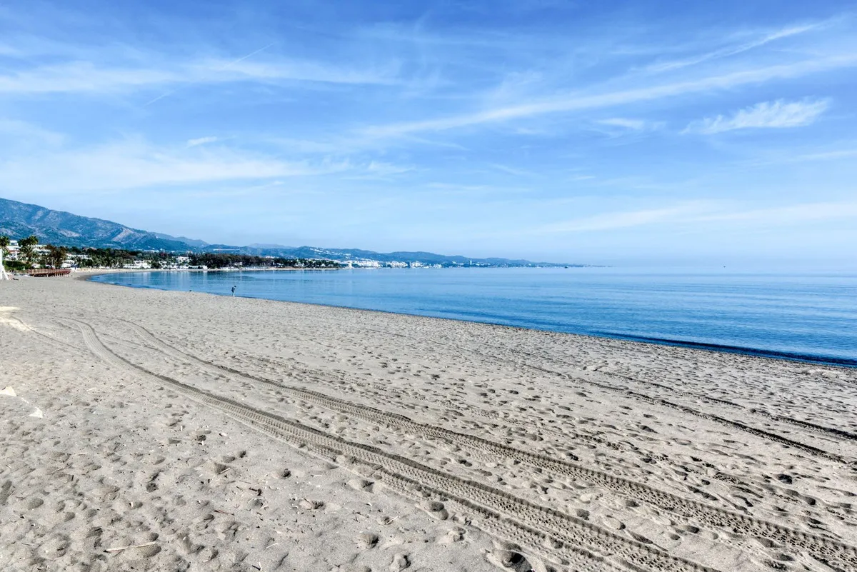 5538b50c-2518-431c-af03-862c1a310e12